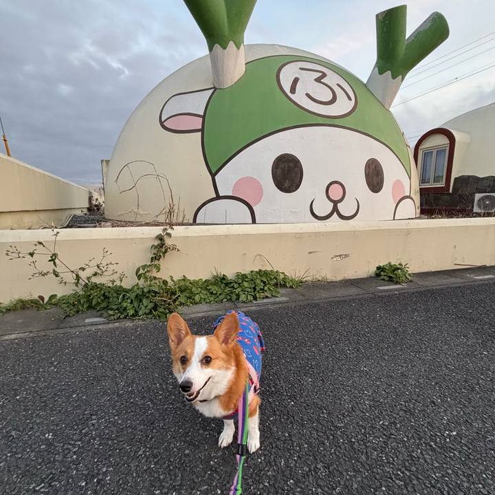 28b125b2 1088 425e ad4b 4271f828e882 1763896180899