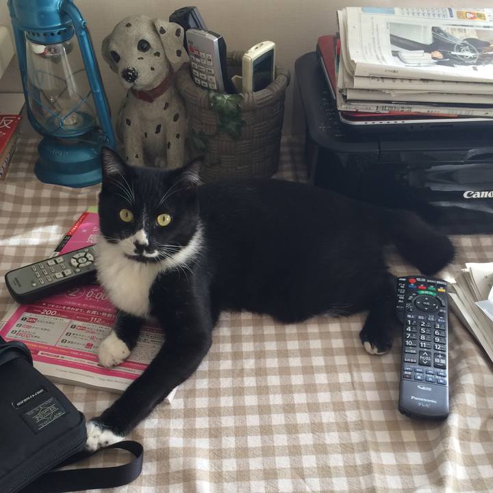 28b1422c 39d7 4f01 82a8 e1d63e53f993 1511322179227