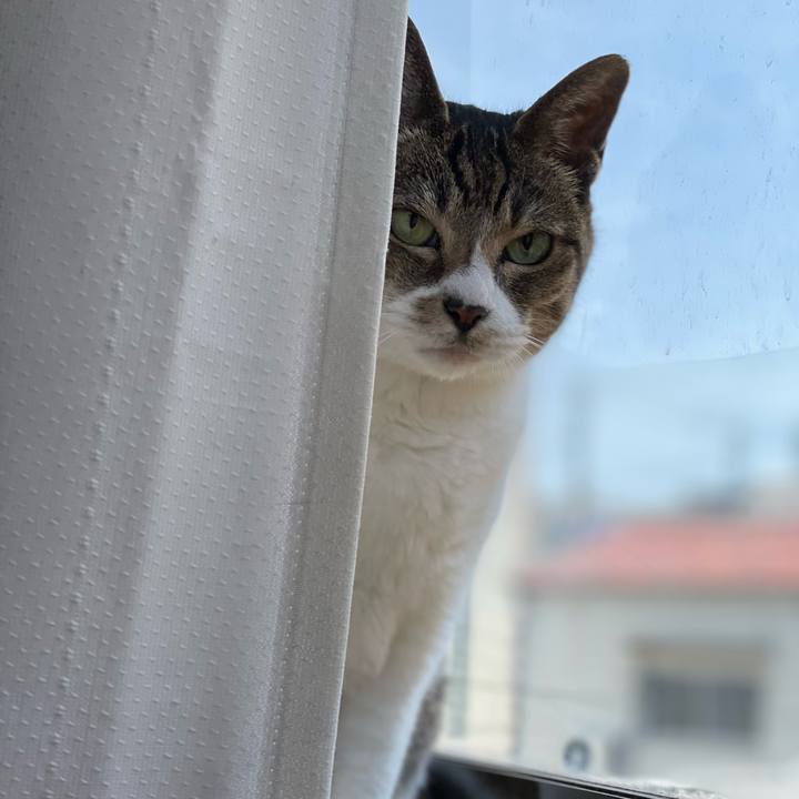 28b147cc 438a 4a8a 86d4 b15ff18d771b 1652148201392