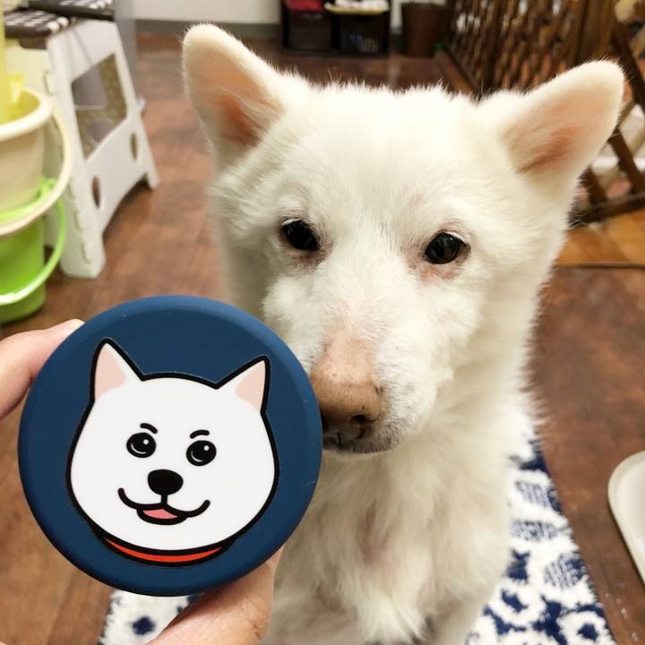 28b16a7f 4f58 428c 965b ba2ad76b2222 1586179662764