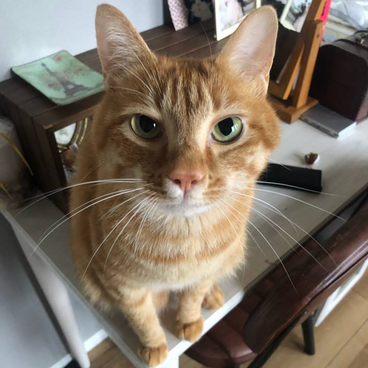 28b16b91 7355 4a4f 975c b6c8b92daae8 1656369442489