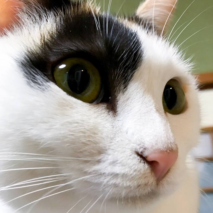 28b1915d 7d34 4ad7 af1f 806889cda8ae 1515054482143