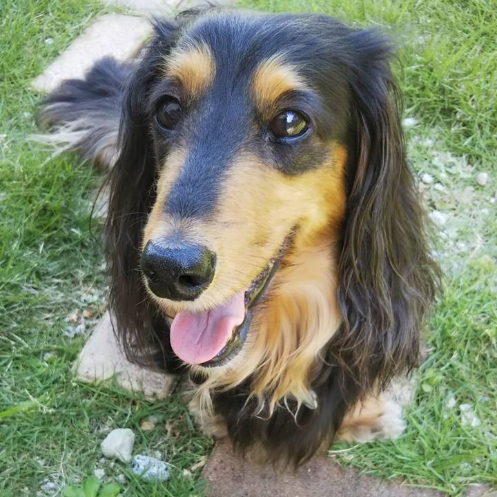 28b1a5a7 0e06 4007 913b 7f5b36536fb8 1586558865367