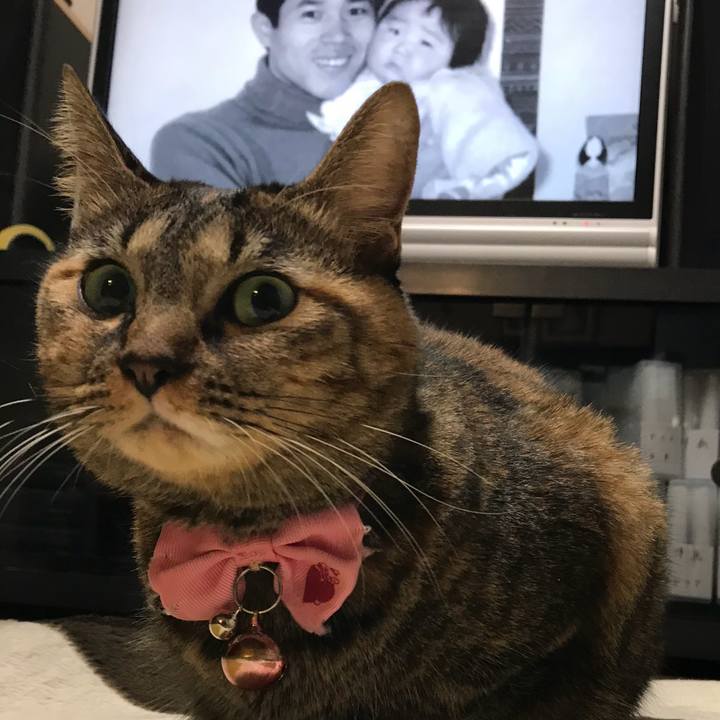 28b1b265 89ac 4980 9fa0 341d87a8c940 1510752709784