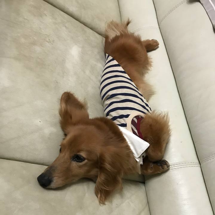 28b1f9c1 0d62 493d a183 7218b571b470 1524919249865