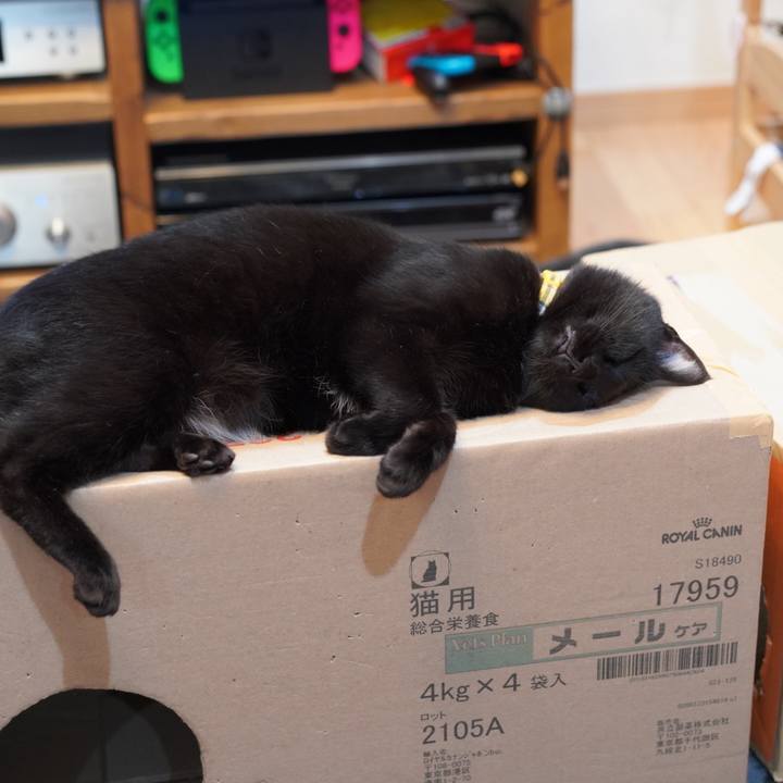 28b201ae 72b6 4355 a12e ab6908cf6b5f 1588079530510