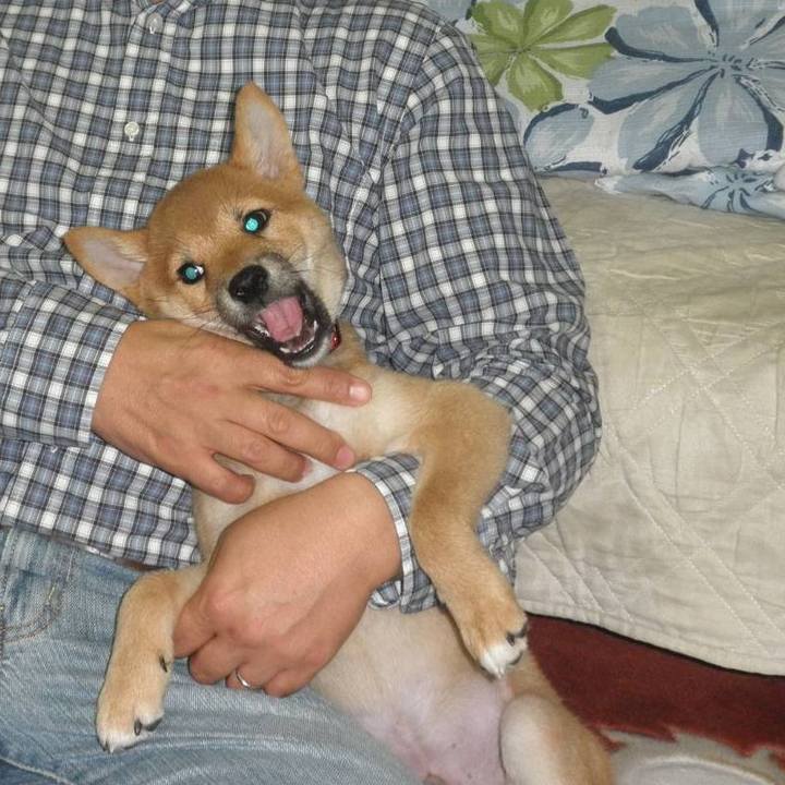 28b20a20 3350 4a2e ae40 4e4d7a6bb0f4 1616578522400