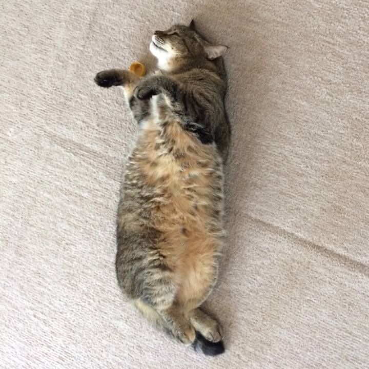 28b243e6 913c 4550 a8d9 f19bcdf242cf 1569539161616