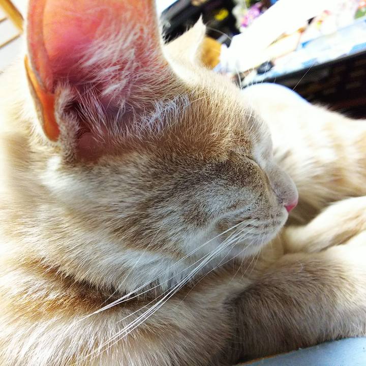 28b24609 95e8 4a0e 80c8 b46d483b94c6 1543579783880