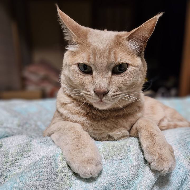 28b24dc7 d54e 4c7e a563 25b3ecee291e 1713606769603