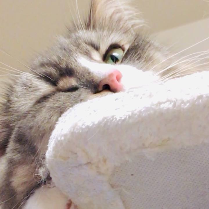 28b25567 5fe4 4670 bb65 f221b4a22c33 1540197204207