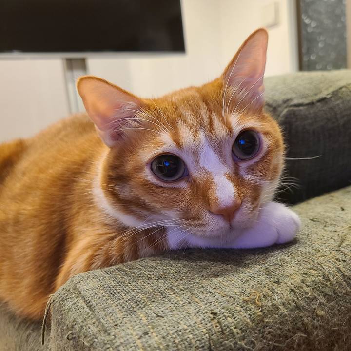 28b25ec0 e42f 42e9 9648 058dda833848 1613147466057