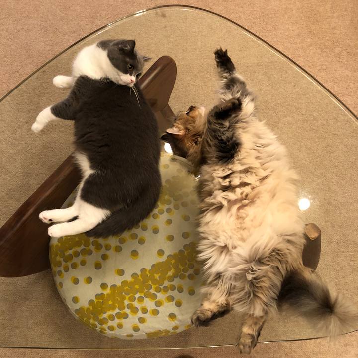 28b278cc 9d6d 4749 9bb0 343a50a5493d 1535648770216