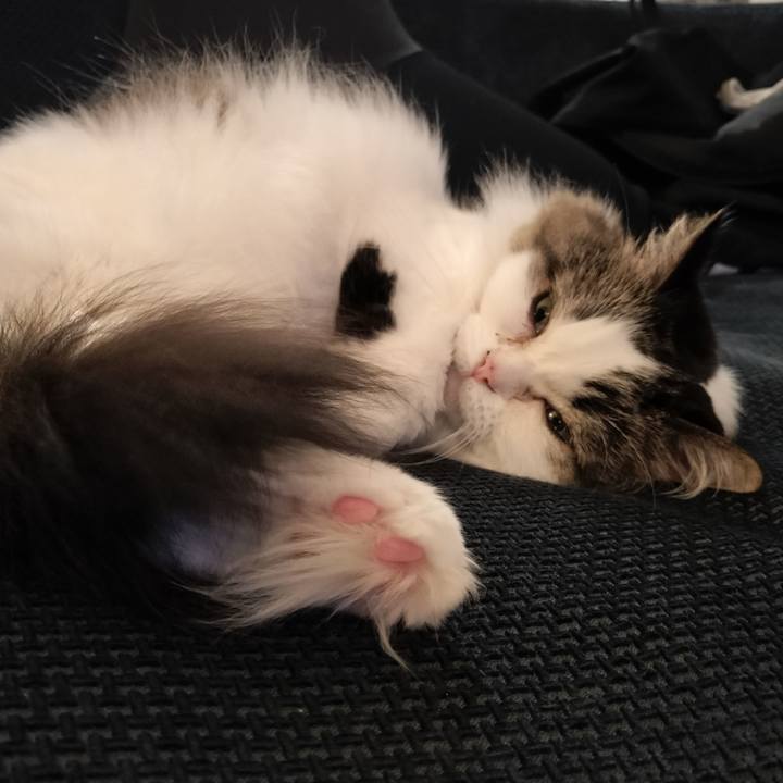 28b282cd 912e 4148 b223 2589c85500e7 1764502078270