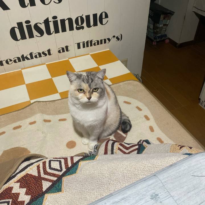 28b28c42 d37a 409d bf71 b5a8003a6e9f 1734857222847