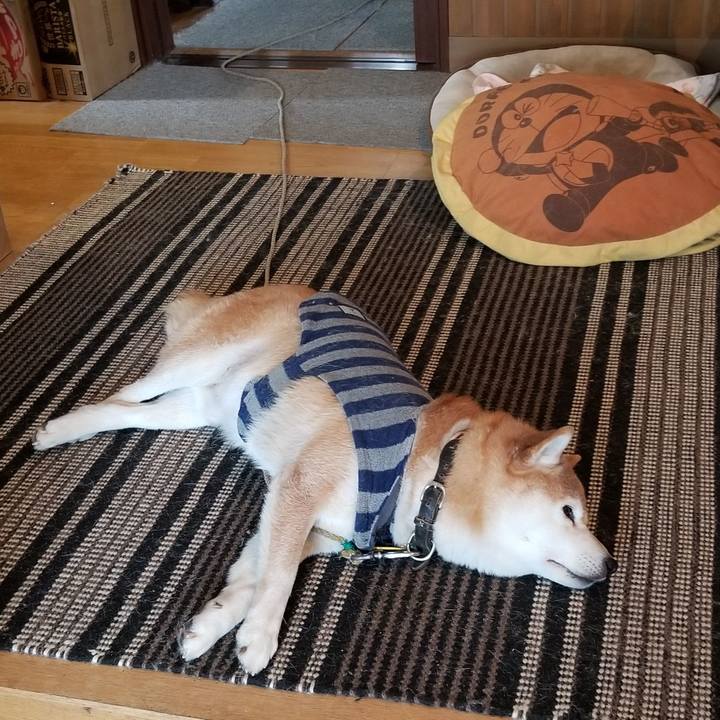 28b2ff67 bd00 4498 83da fefe49de81d3 1644030308629