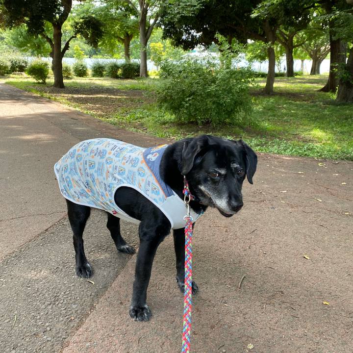 28b33b70 26bc 4ab3 adb2 5c8f055c0e17 1653464352389