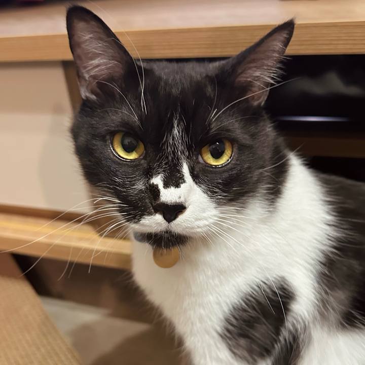 28b36e7e 4a34 4d57 8f8e 76da0322cf01 1774018382185