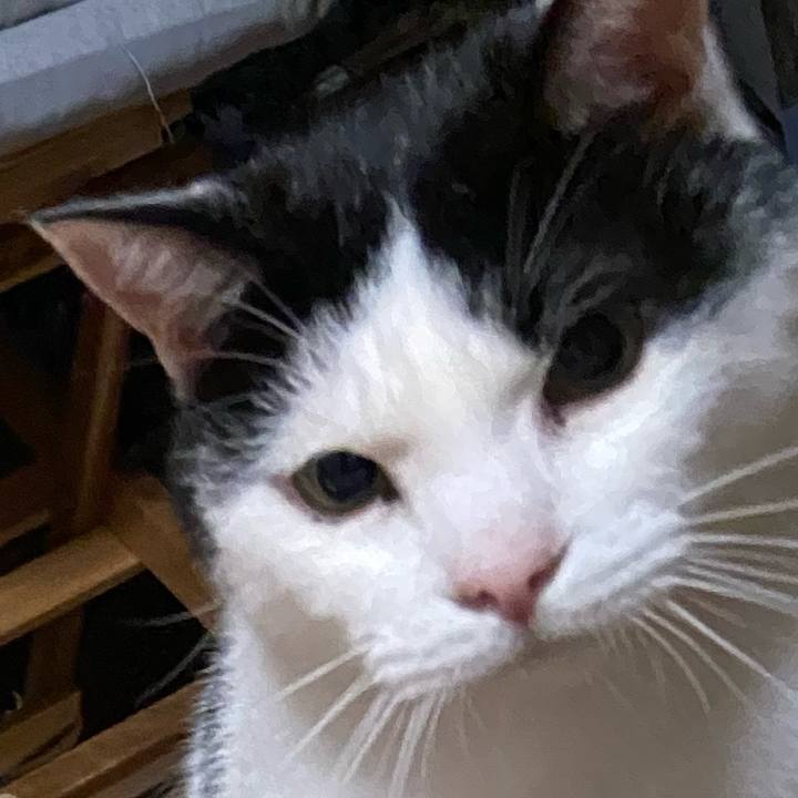 28b370d7 db79 4243 8034 ec7ba40bc5b6 1588593449327