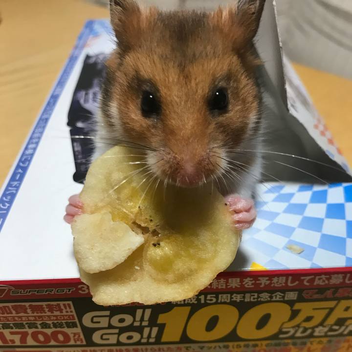 28b3793a 798c 429f bd56 d2e53244bf67 1618836580567