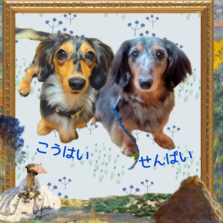 28b380b3 8616 421b a314 1231934a332d 1730891982156