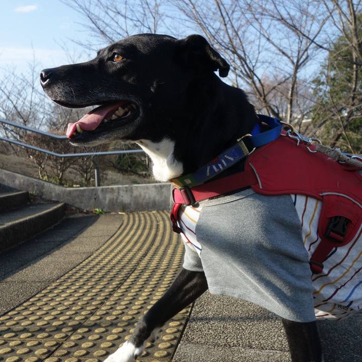 28b38f9d 7996 4feb 8d77 4520f62e239a 1678411244089