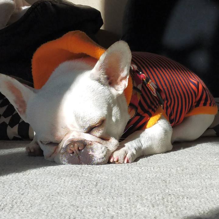 28b3a7bd 9850 4194 84c6 b6e4efb88634 1640219966170