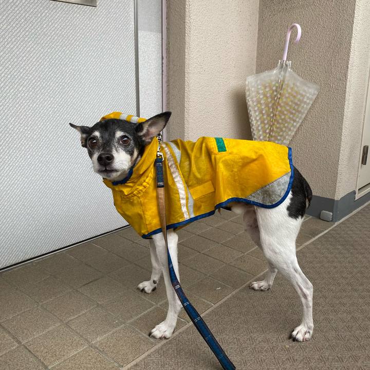 28b3ad5b c524 443f 9e44 c55f72ef0918 1622068326328