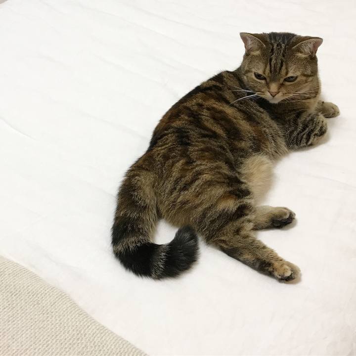 28b3ba3d fcac 4c5c 9160 b3e1782152fa 1532007727526