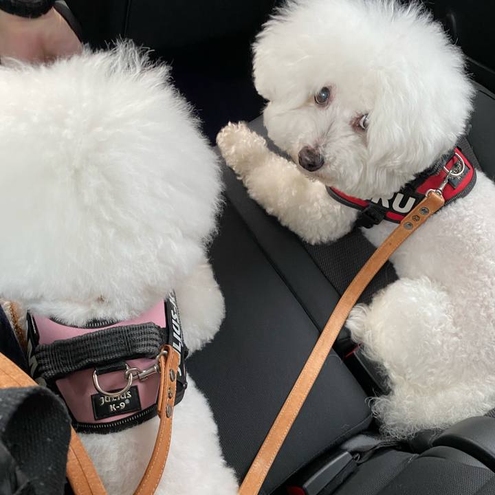 28b3cc63 3567 4ea8 a4f6 e7736202d8d8 1653097249426