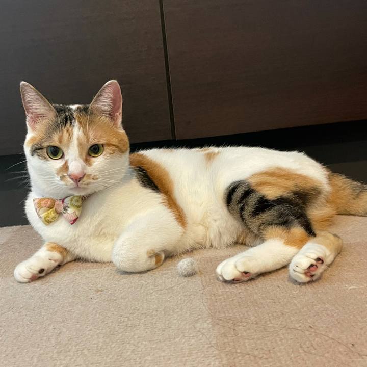 28b40c4b 515d 417f b074 fbf4e51ded4e 1631233168160