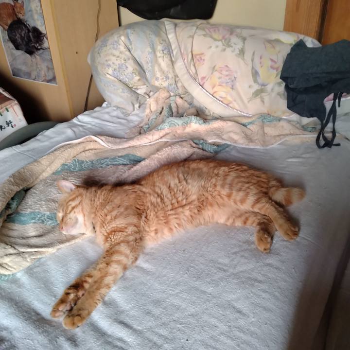 28b451a6 3979 4ced b457 156edab50543 1690320449621