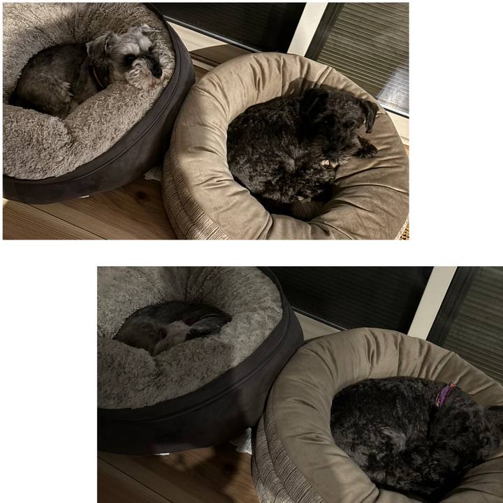 28b46fe8 d688 4563 8cb4 377536c238a0 1698588115173