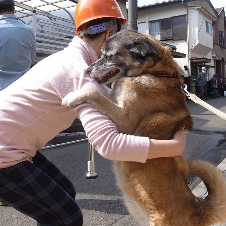 28b47cbc 97fb 4595 9d81 89b2e6fa9000 1741133623757