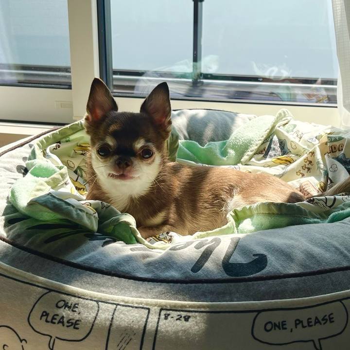 28b4ada8 b3ca 4b7a 995b 3e94016d92eb 1756254166288