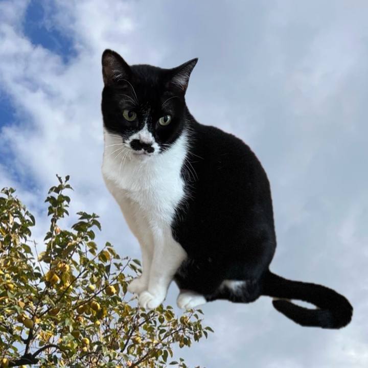 28b4b607 45a0 4ebf 9ecd e66e7c422642 1761524141123