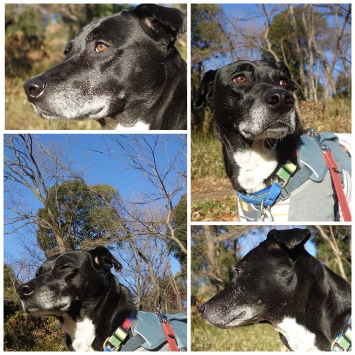 28b4e23e 9a08 42f1 81df f9d846835700 1706150877069