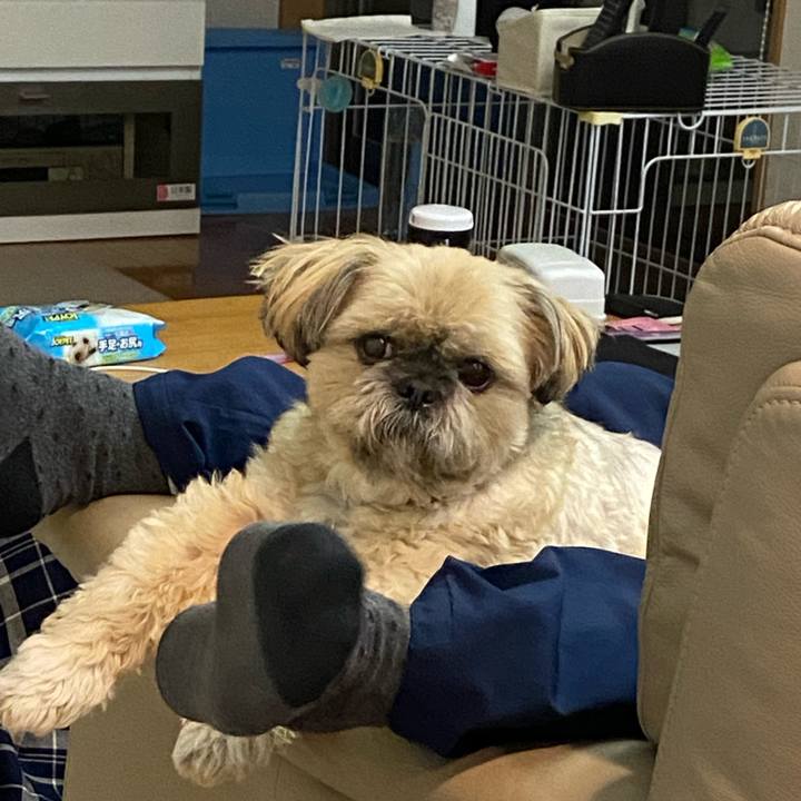 28b50f3c d889 4e72 abbf 64a335cbbdfd 1587650716440