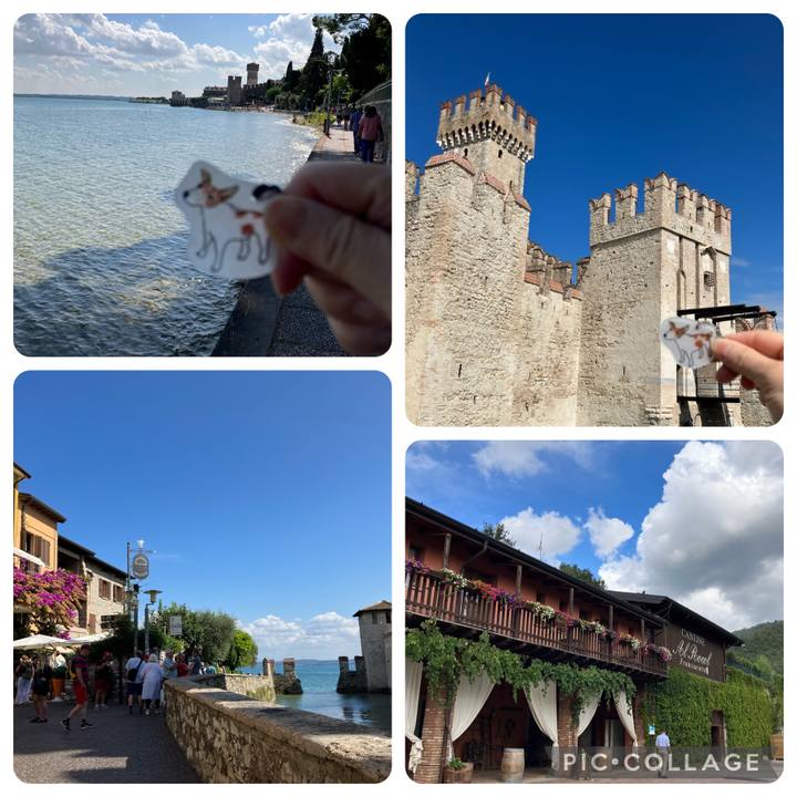 28b5623e 6043 49ca bfbd 9cf1561e53a5 1695363774686