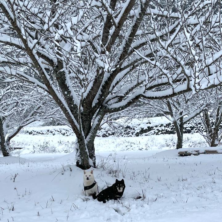 28b5701b 9a6e 4df5 b992 358f4e588ec4 1736491073414