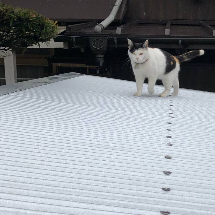 28b573b7 fd5f 48a1 a755 d1729c82077c 1616287948641