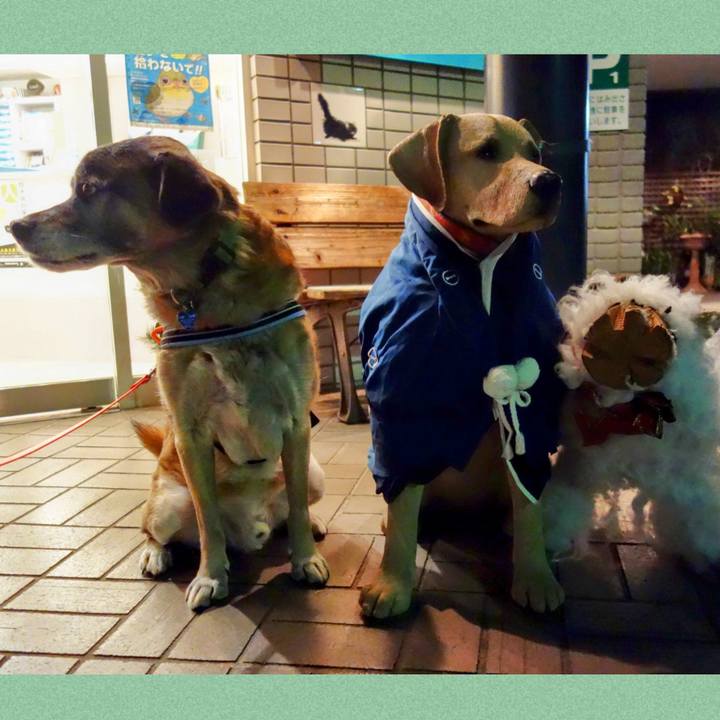 28b5768d 0411 495e 872d a1629568e4af 1656459363146