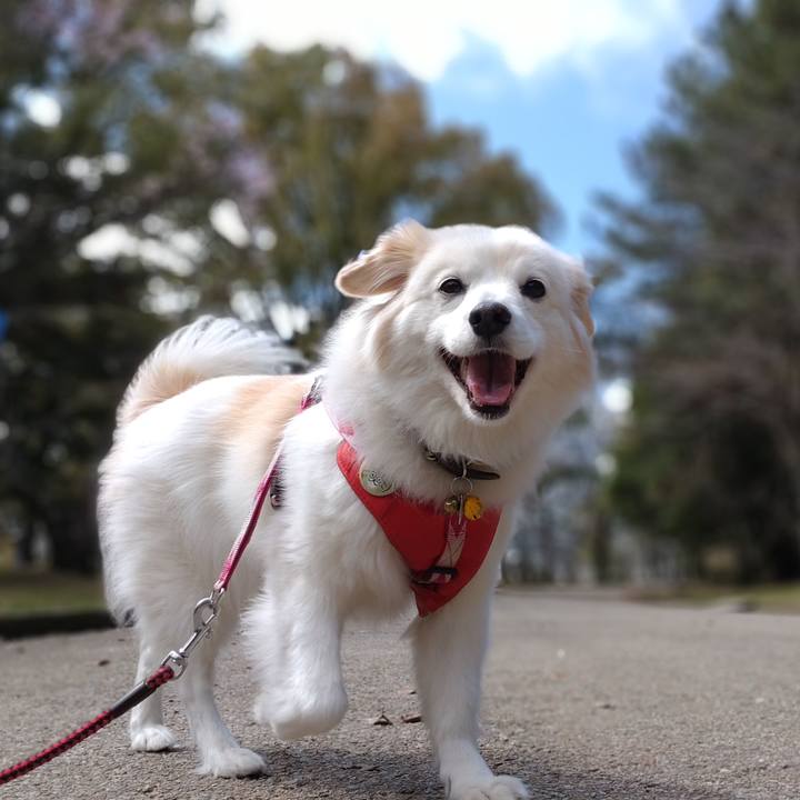 28b57cfe acab 4c4c 97bd ad0c22000e21 1647657467429