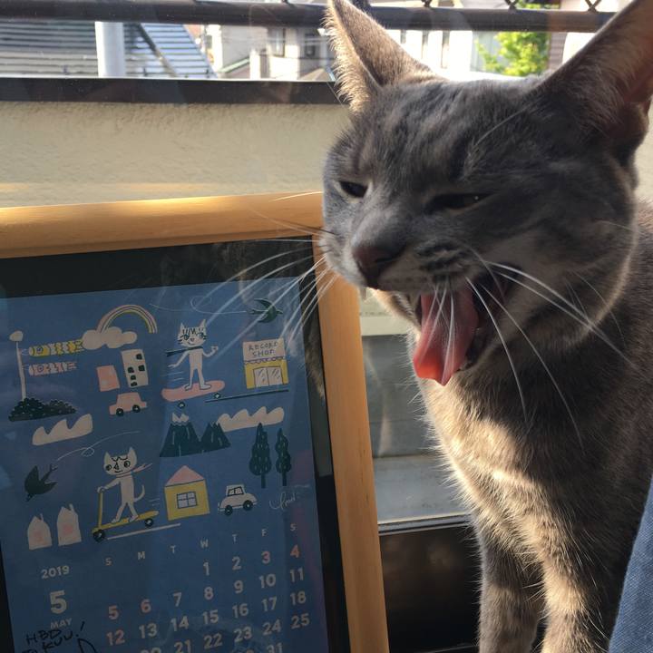 28b5b496 872b 473c add2 e241c252ad7f 1556926453719