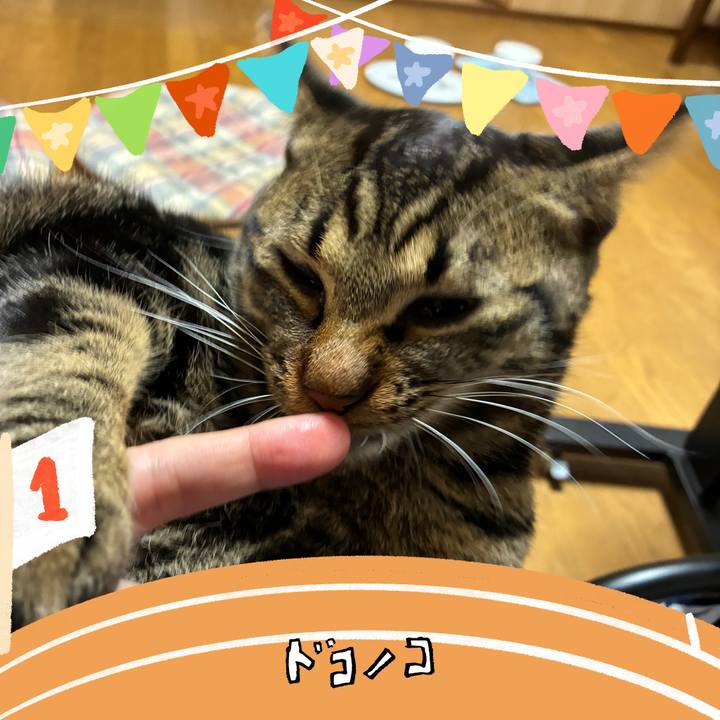 28b5bf72 8ed0 4e31 8de6 8fd2e5670188 1761214040653