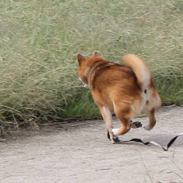 28b5d708 6596 406a 87b5 bce4b93a0ba8 1539051942903