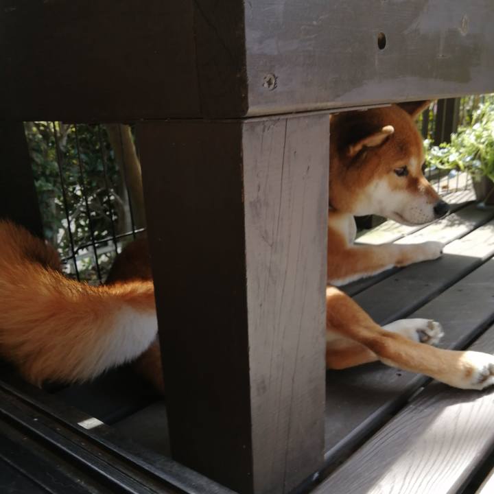 28b5dbcd 2707 419e 8f73 ac567aca6c1c 1584326008398