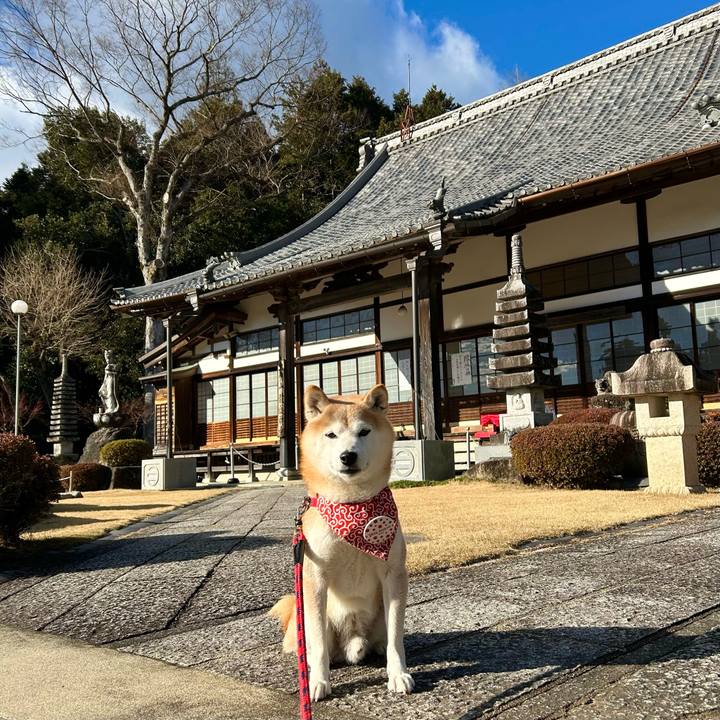 28b63b74 127d 435e be39 dacbdc0b7306 1735988917434