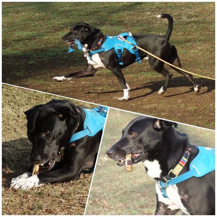 28b64313 3b91 4574 86f6 262af2f5b407 1615334908345