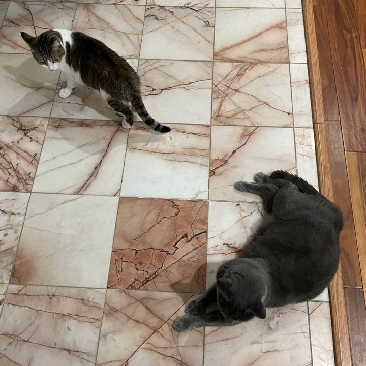 28b688af c601 4f4a 852a fd2db9293ea4 1695861431536